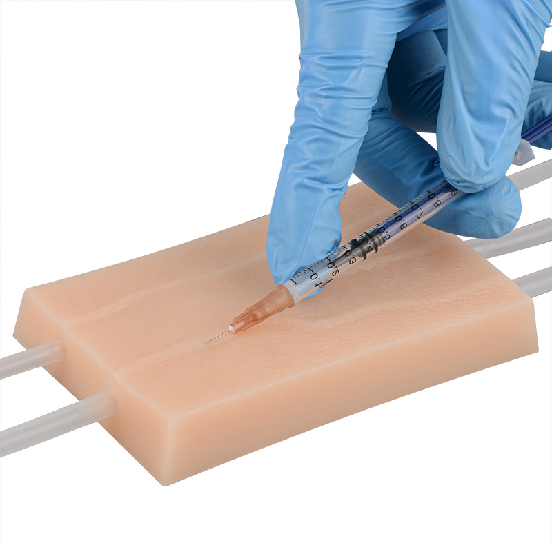 1 pièce Modèle d'entraînement  - Teeth Whitening Gel For Trays avis et prix